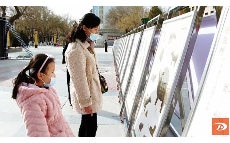 【網(wǎng)絡中國節(jié)·春節(jié)】新春生肖文物圖片聯(lián)展為敦煌市民送上文化餐